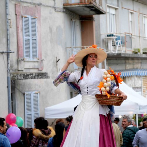 DSC03521 DSC03521